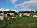 Toeristische rondrit op 29-9-2012 (74)